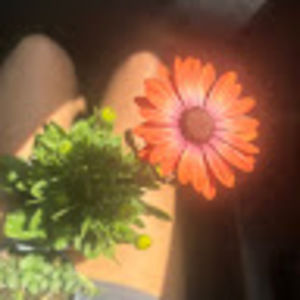 Meet your Posher, Norah